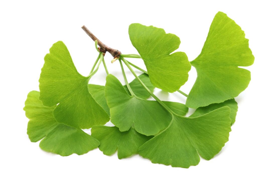 Ginko Biloba in Tropfen Alcozar